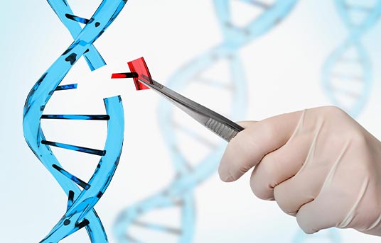 Nucleic Acid and Plasmid Analysis for Rare Diseases