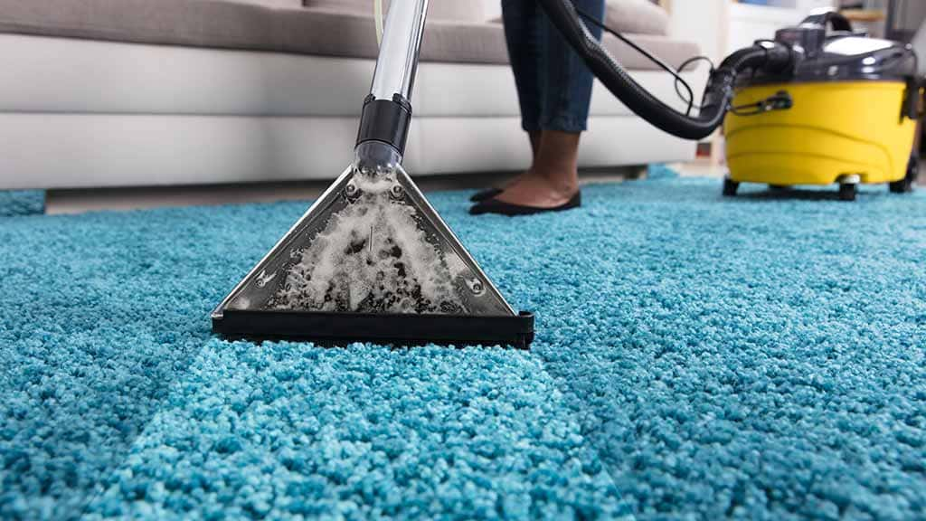 Expert Carpet Cleaning: A Necessity for Every Home