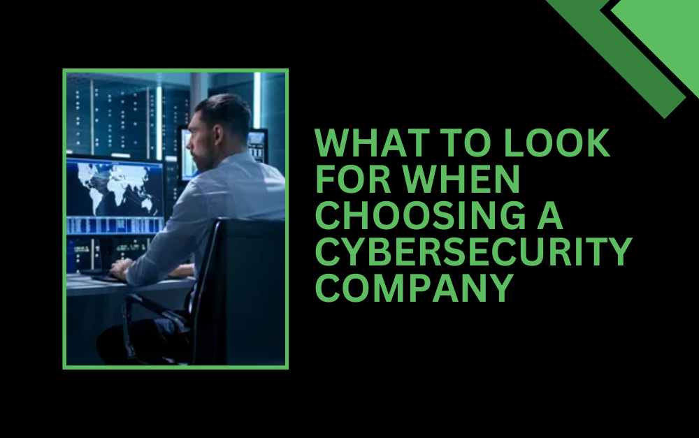 What to Look for When Choosing a Cybersecurity Company