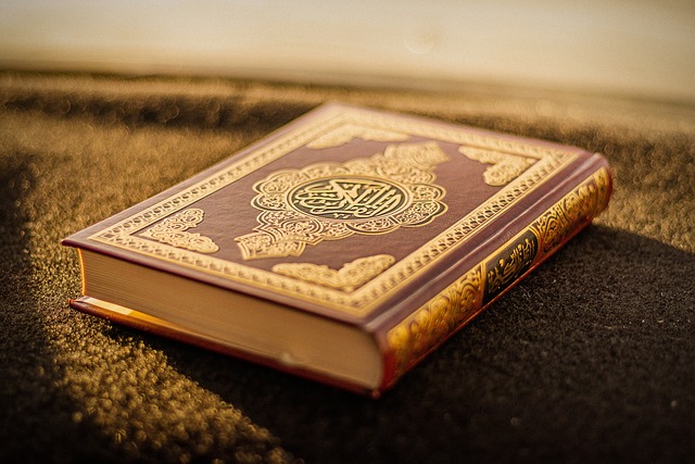 What Are the Steps to Start Learning Quran Online?